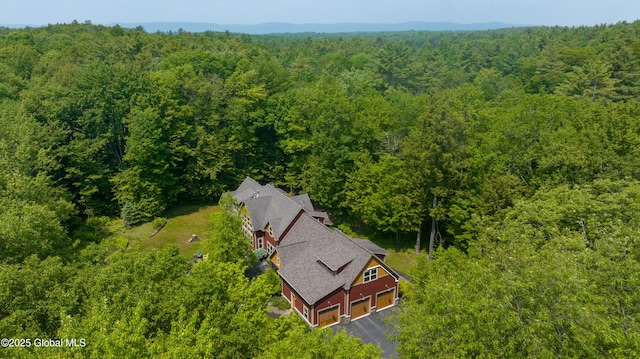 475 Greene Rd, Greenfield, NY 12833 - photo 94