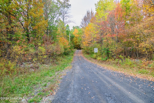 L7 Harroway Rd, Richmondville, NY 12149 - photo 35
