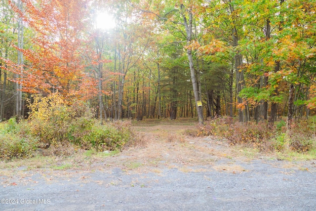 L7 Harroway Rd, Richmondville, NY 12149 - photo 33