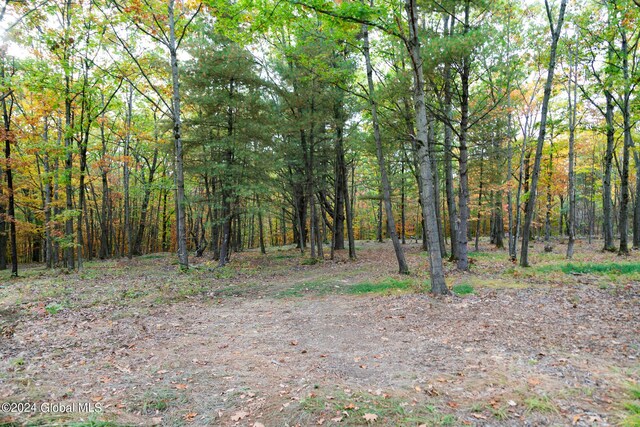 L7 Harroway Rd, Richmondville, NY 12149 - photo 24