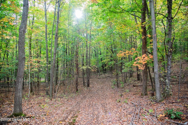 L7 Harroway Rd, Richmondville, NY 12149 - photo 27