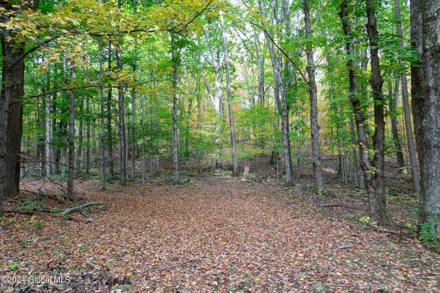 L7 Harroway Rd, Richmondville, NY 12149 - photo 30