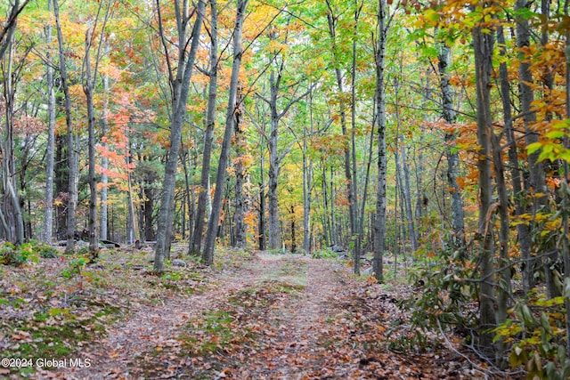 L7 Harroway Rd, Richmondville, NY 12149 - photo 21
