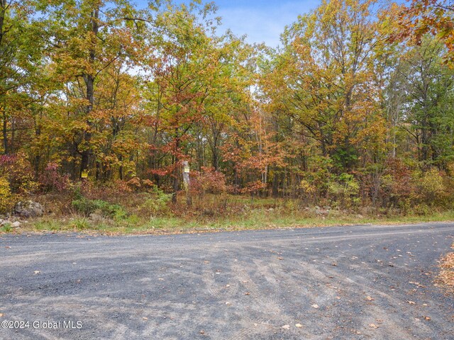 L7 Harroway Rd, Richmondville, NY 12149 - photo 34
