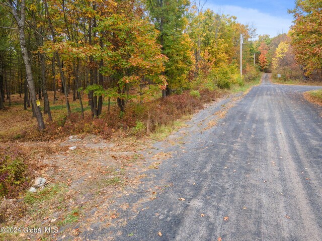 L7 Harroway Rd, Richmondville, NY 12149 - photo 13