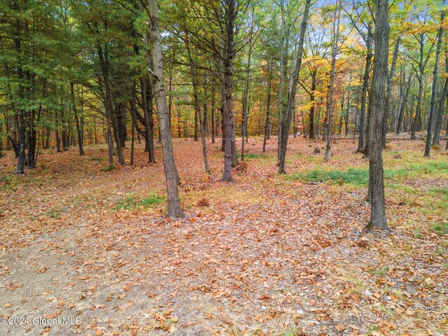 L7 Harroway Rd, Richmondville, NY 12149 - photo 14