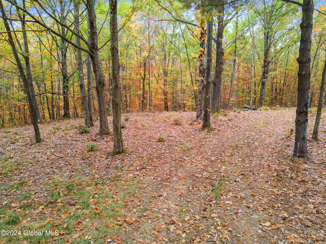 L7 Harroway Rd, Richmondville, NY 12149 - photo 16