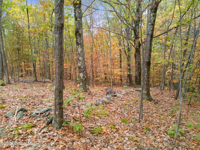 L7 Harroway Rd, Richmondville, NY 12149 - photo 17