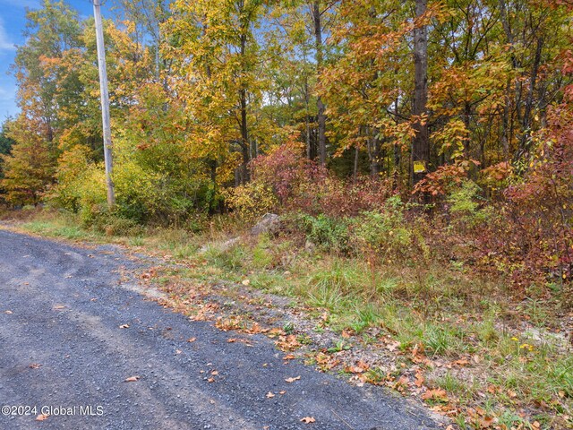 L7 Harroway Rd, Richmondville, NY 12149 - photo 36