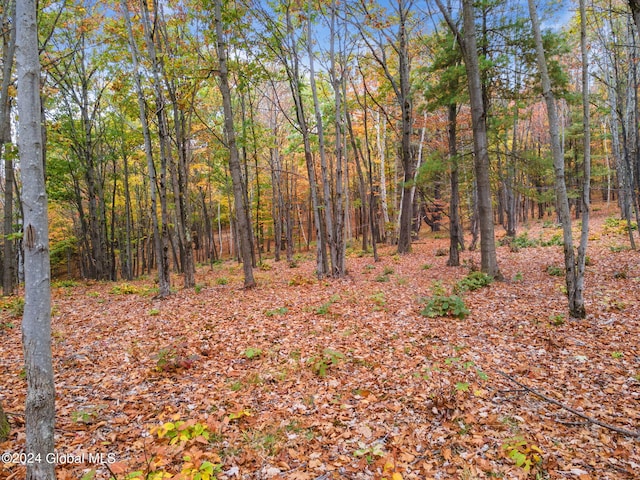 L7 Harroway Rd, Richmondville, NY 12149 - photo 18
