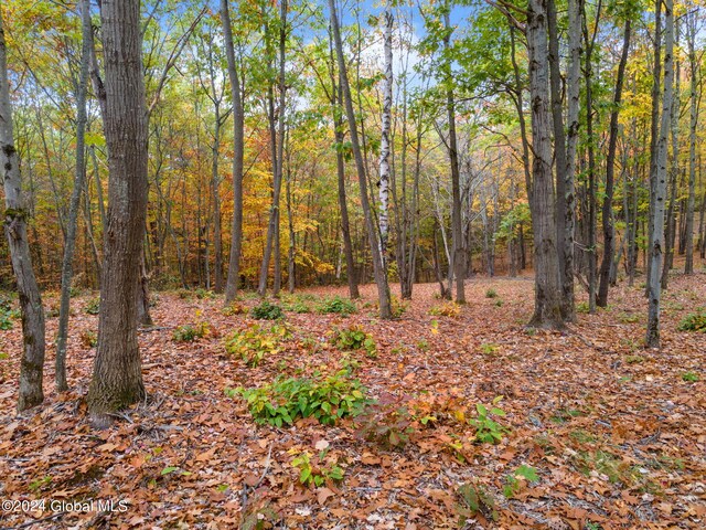 L7 Harroway Rd, Richmondville, NY 12149 - photo 20