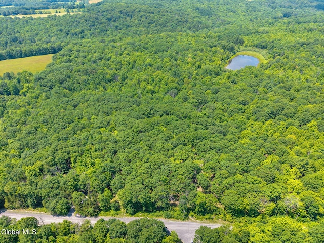L7 Harroway Rd, Richmondville, NY 12149 - photo 8