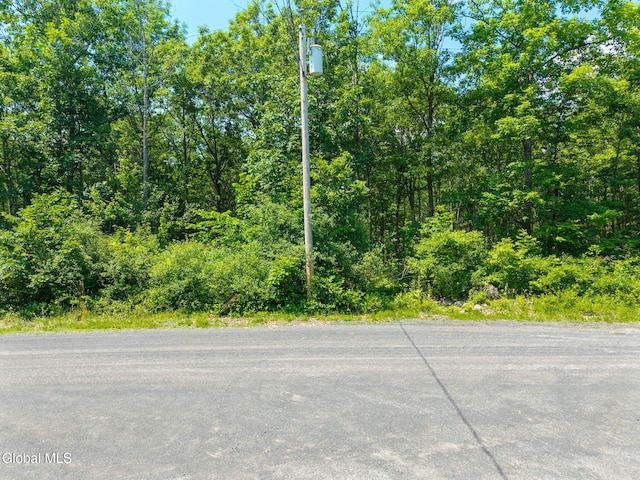 L7 Harroway Rd, Richmondville, NY 12149 - photo 3