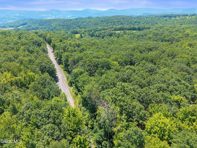 L7 Harroway Rd, Richmondville, NY 12149 - photo 9