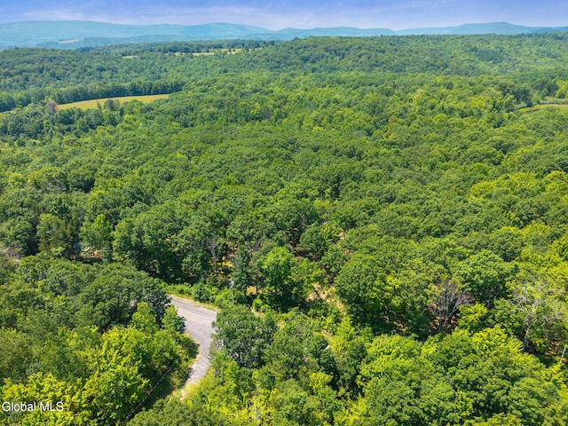 L7 Harroway Rd, Richmondville, NY 12149 - photo 10