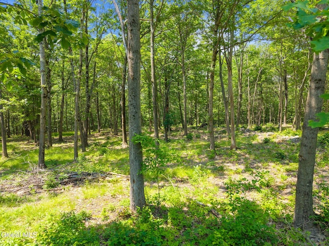 L7 Harroway Rd, Richmondville, NY 12149 - photo 4