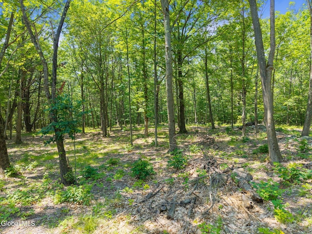 L7 Harroway Rd, Richmondville, NY 12149 - photo 5
