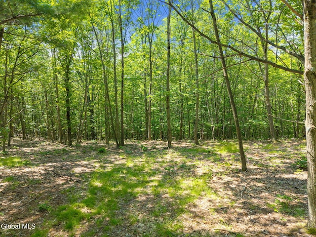 L7 Harroway Rd, Richmondville, NY 12149 - photo 6