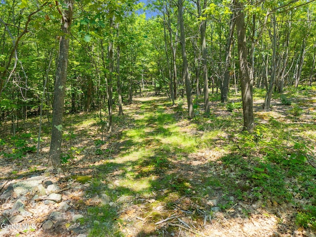 L7 Harroway Rd, Richmondville, NY 12149 - photo 1