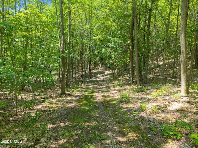 L7 Harroway Rd, Richmondville, NY 12149 - photo 7