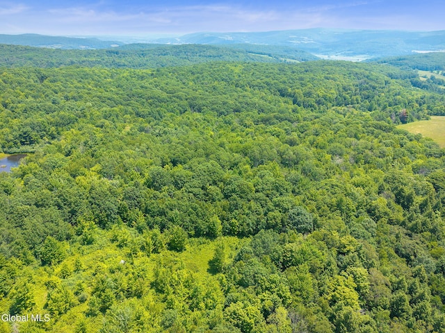 L7 Harroway Rd, Richmondville, NY 12149 - photo 11