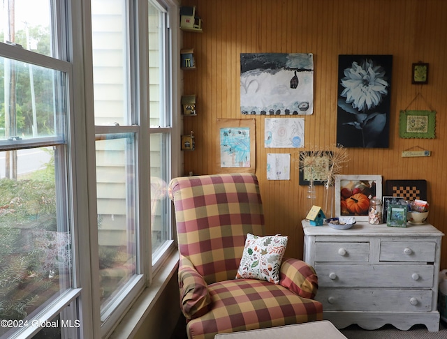 living area with wooden walls