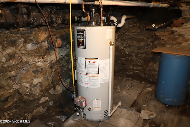 utility room with gas water heater