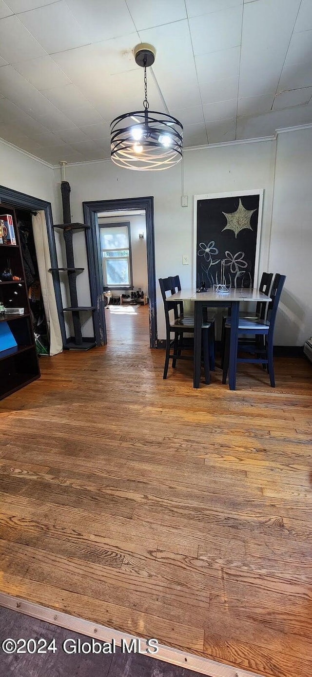 dining area featuring hardwood / wood-style flooring