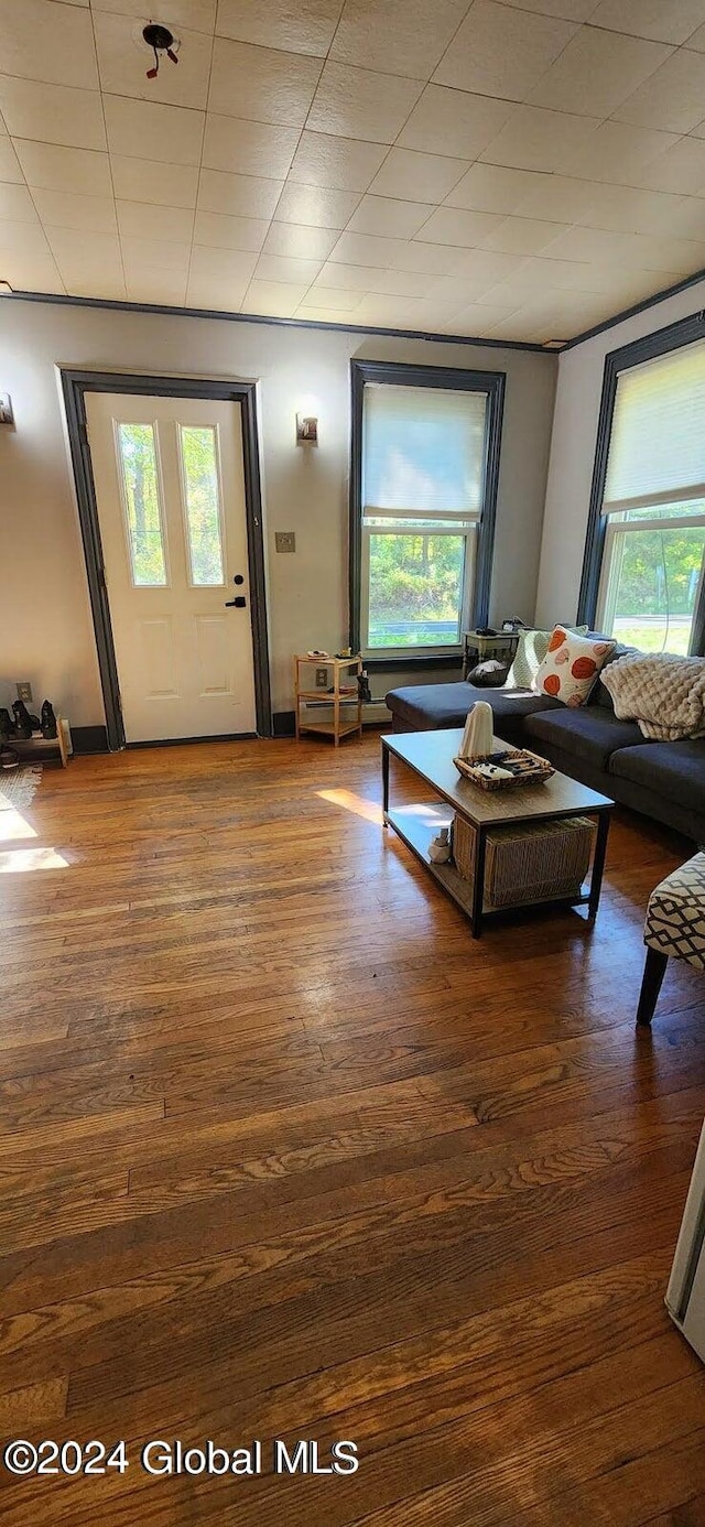 living room with a healthy amount of sunlight and dark hardwood / wood-style floors