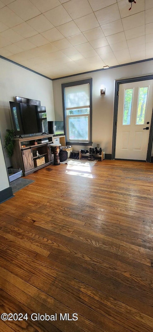 living room with wood-type flooring