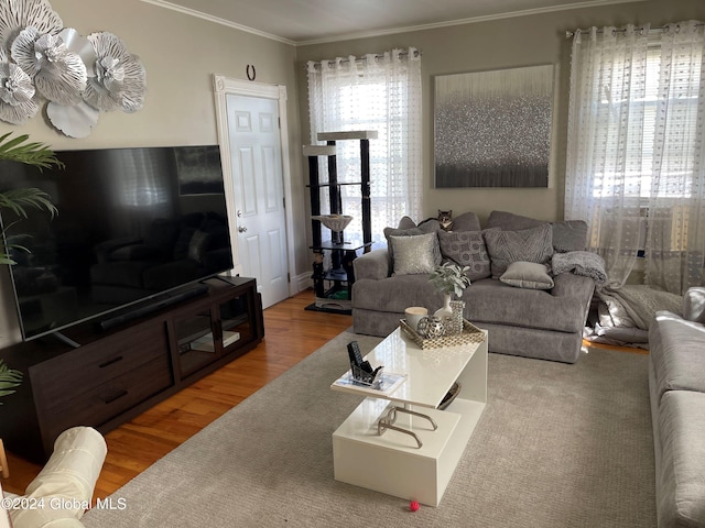 living room featuring crown molding, hardwood / wood-style floors, and a healthy amount of sunlight