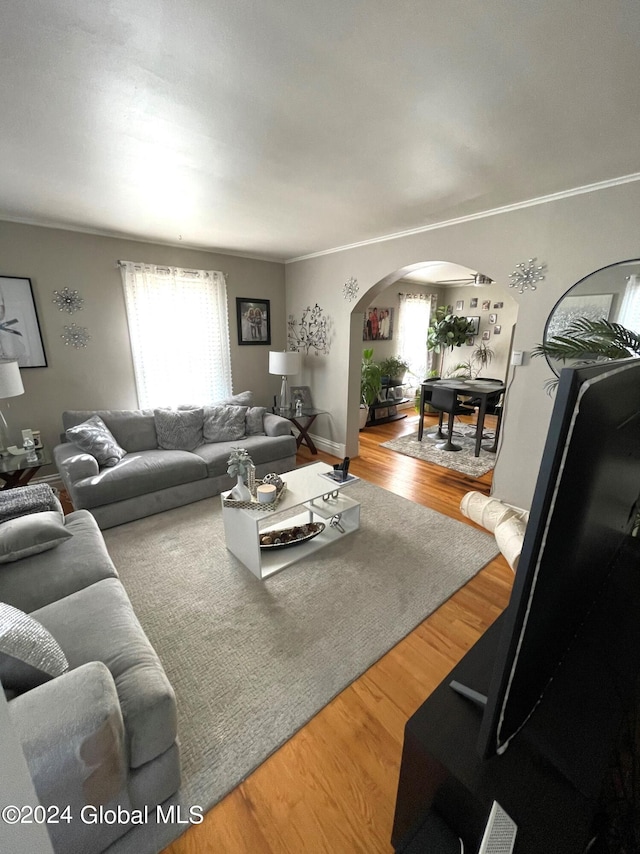 living room featuring ornamental molding and hardwood / wood-style floors