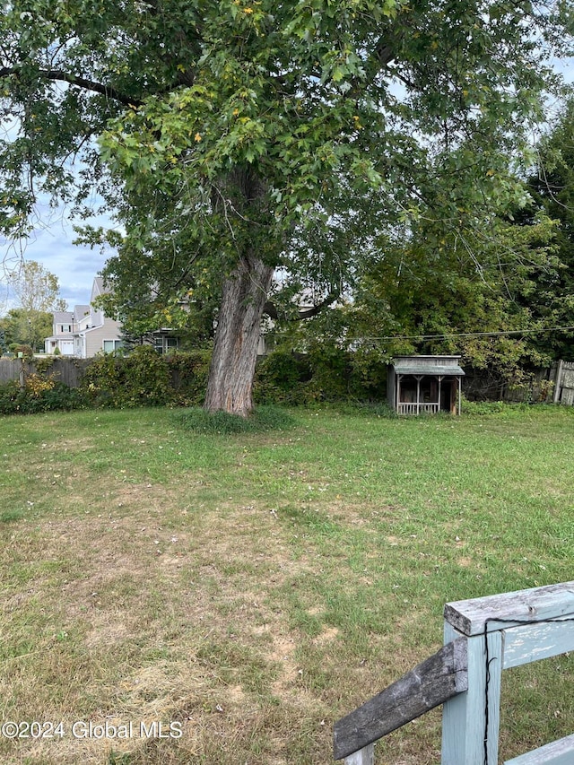 view of yard featuring a shed