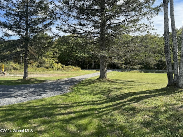 view of property's community featuring a yard