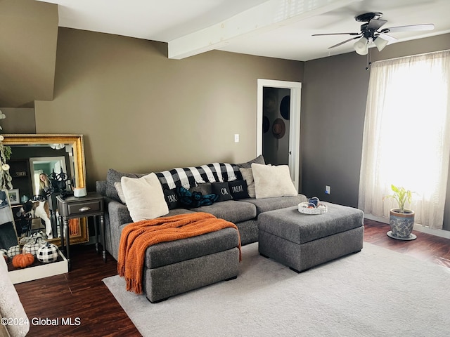 living room featuring ceiling fan, beamed ceiling, and dark wood-type flooring