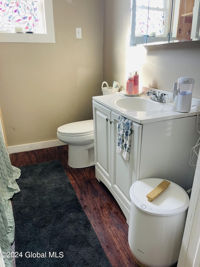 bathroom featuring wood-type flooring, vanity, and toilet