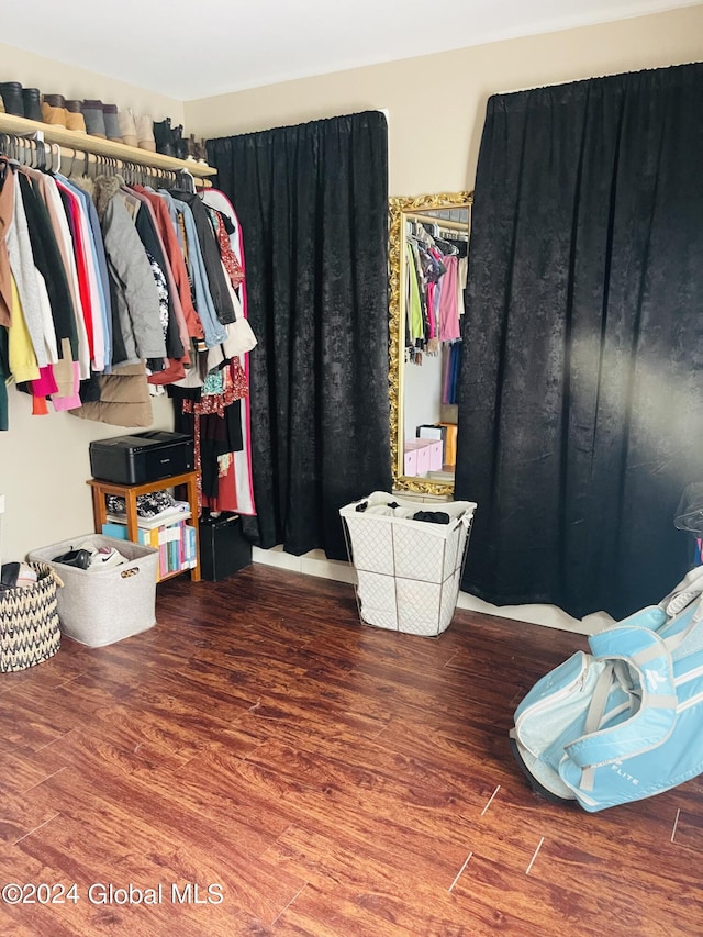 spacious closet featuring wood-type flooring