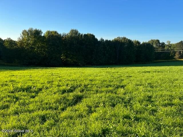 L32.08 Ouleout Rd, Pittsfield NY, 13411 land for sale