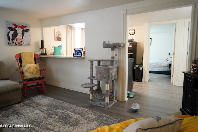 living room featuring dark wood-type flooring