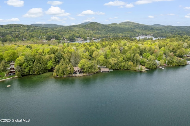 130 Homer Point Rd, Bolton, NY 12824 - photo 4