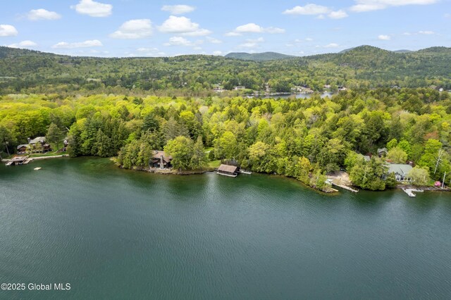 130 Homer Point Rd, Bolton, NY 12824 - photo 5