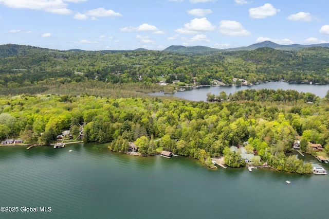 130 Homer Point Rd, Bolton, NY 12824 - photo 6