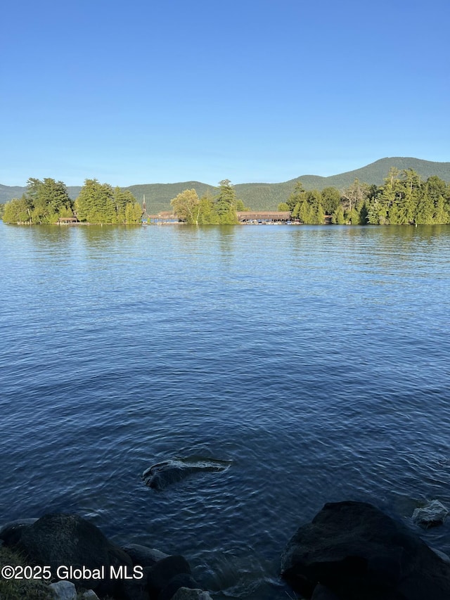 130 Homer Point Rd, Bolton, NY 12824 - photo 51