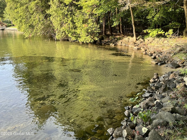 130 Homer Point Rd, Bolton, NY 12824 - photo 54