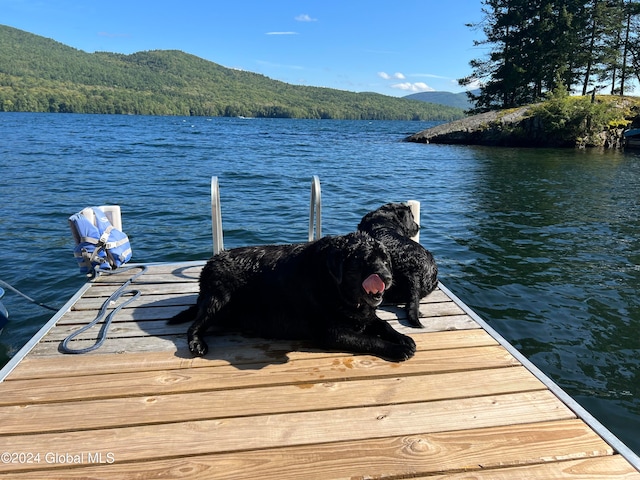 dock area with a water and mountain view