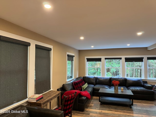 living room featuring recessed lighting and wood finished floors