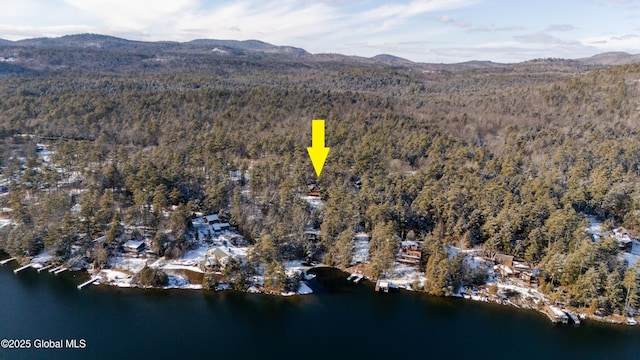 birds eye view of property featuring a view of trees and a water and mountain view