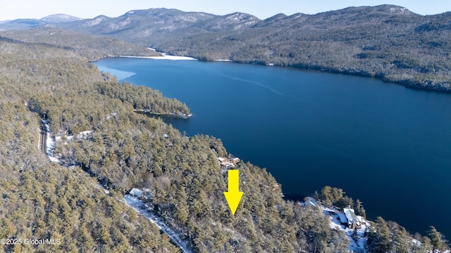 birds eye view of property with a wooded view and a water and mountain view