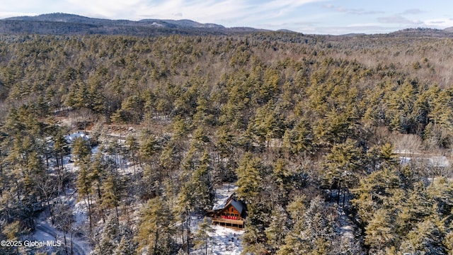 bird's eye view featuring a mountain view and a view of trees