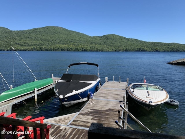 dock area featuring a view of trees and a water view